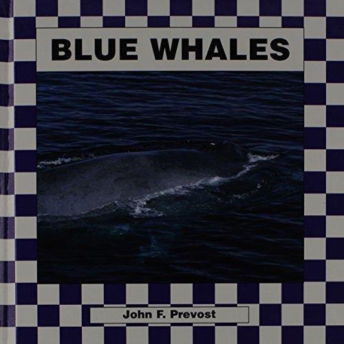 Blue whales