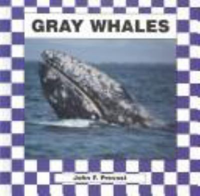 Gray whales