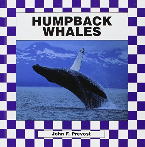The humpback whales