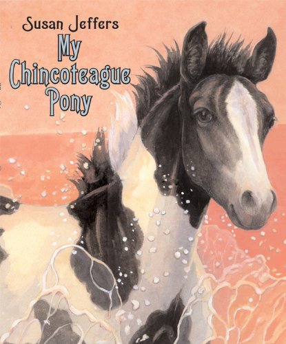 My Chincoteague pony