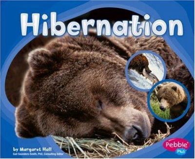 Hibernation