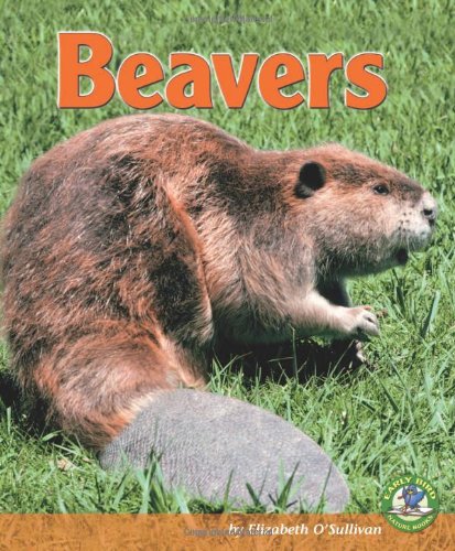 Beavers