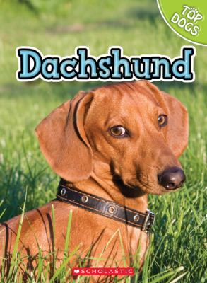 Dachshund.