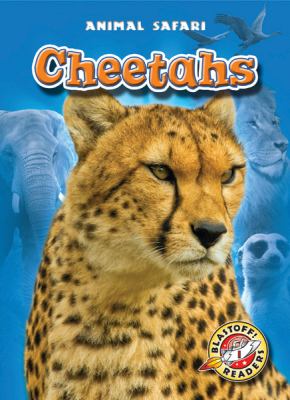 Cheetahs