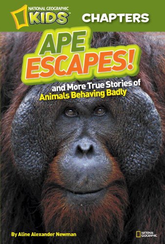 Nat Geo Kids: Ape escapes! : and more true stories of animals behaving badly