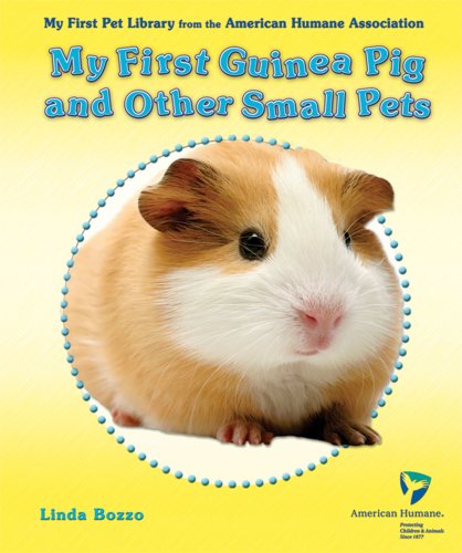 My first guinea pig and other small pets