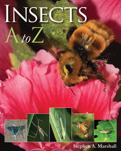 Insects A to Z