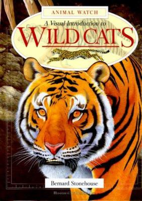 A Visual introduction to wild cats