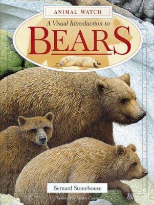 A Visual introduction to bears