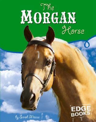 The Morgan horse