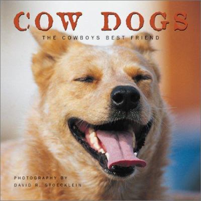 Cow dogs : the cowboy's best friend