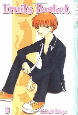 Fruits basket, volume 3