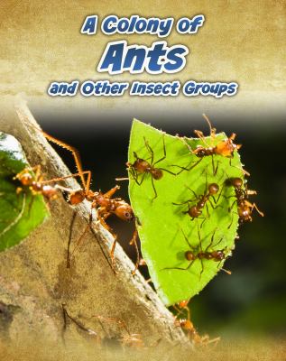A Colony of ants : and other insect groups
