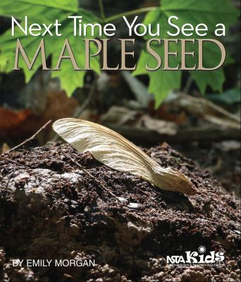 Next time you see a maple seed