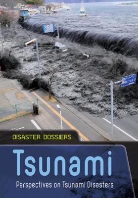 Tsunami : perspectives on tsunami disasters