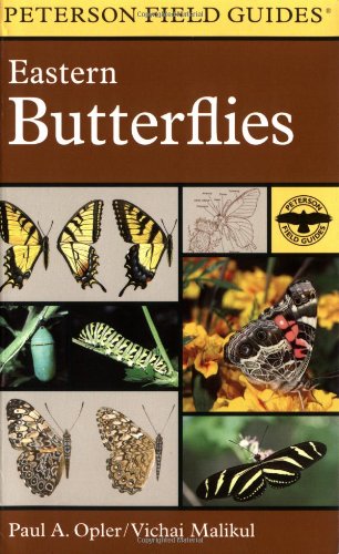 A field guide to eastern butterflies