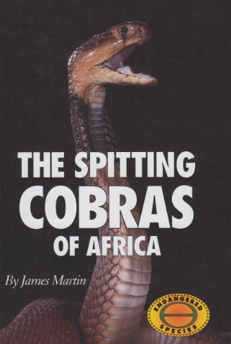 The spitting cobras of Africa