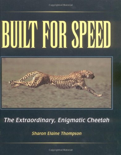 Built for speed : the extraordinary, enigmatic cheetah