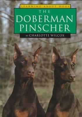 The Doberman pinscher