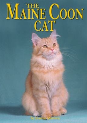 The Maine coon cat
