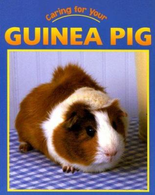 Caring for your guinea pig
