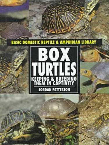 Box turtles