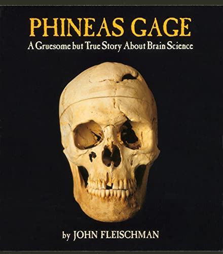 Phineas Gage : a gruesome but true story about brain science