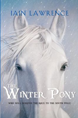 The Winter pony