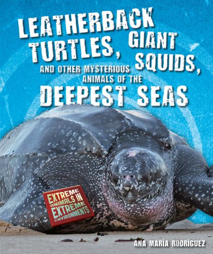 Leatherback turtles, giant squids, and other mysterious animals of the deepest seas