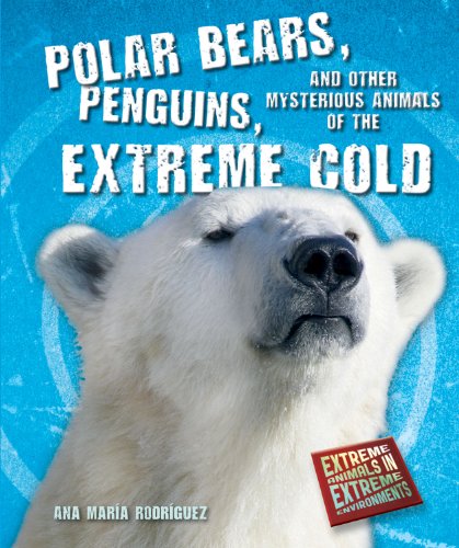 Polar bears, penguins, and other mysterious animals of the extreme cold