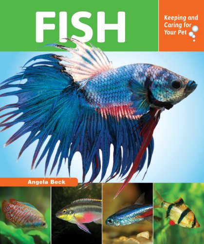 Fish : keeping and caring for your pet