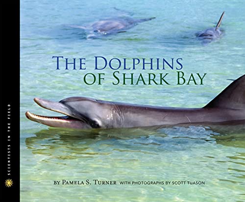 The dolphins of Shark Bay