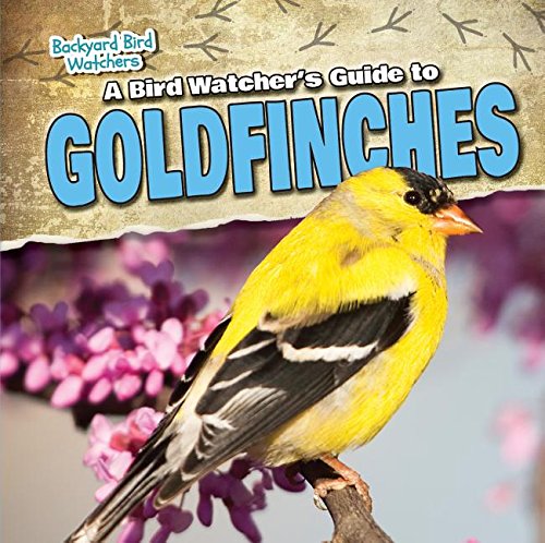 A bird watcher's guide to goldfinches