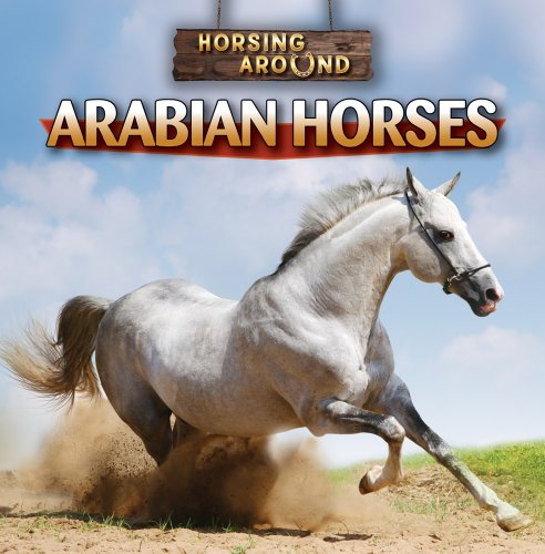 Arabian horses