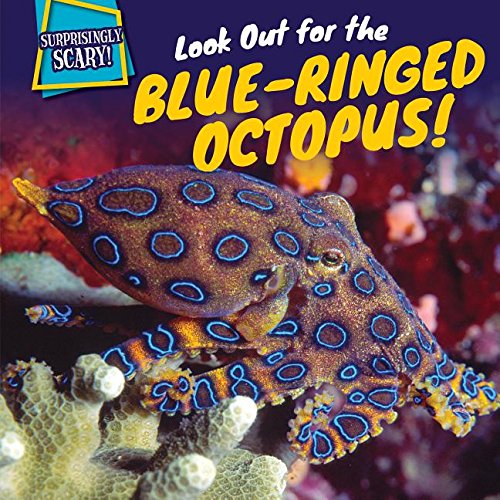 Look out for the blue-ringed octopus!