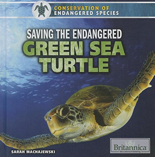 Saving the endangered green sea turtle