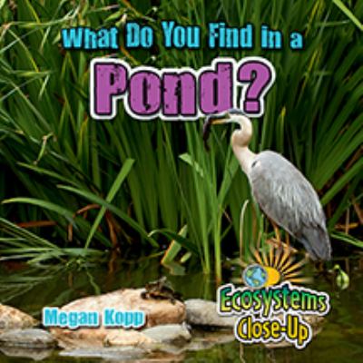 What do you find in a pond?