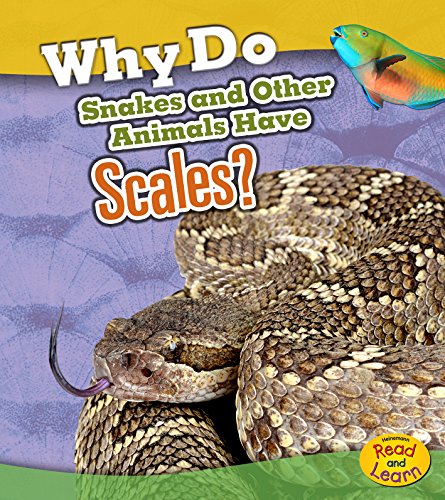 Why do snakes and other animals have scales?