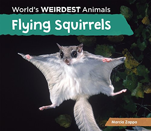 Flying squirrels