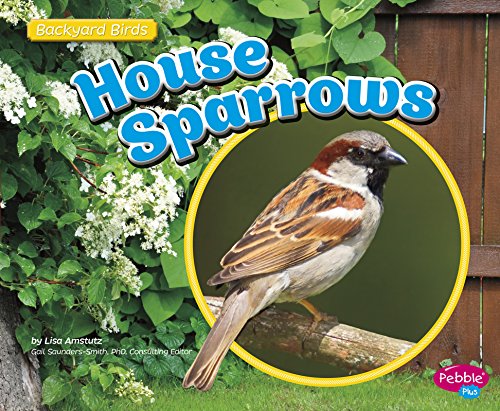 House sparrows