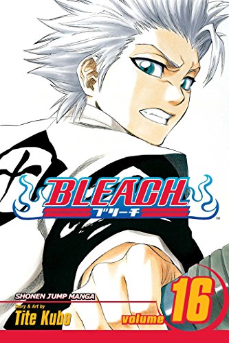 Bleach 16. 16, Night of Wijnruit /