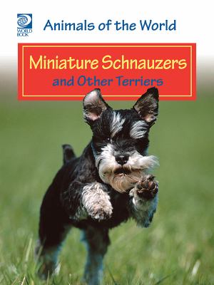 Miniature schnauzers and other terriers