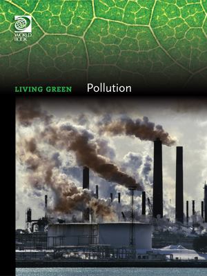 Pollution