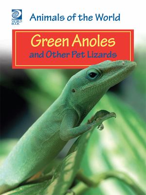 Green anoles and other pet lizards