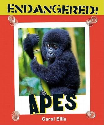 Apes