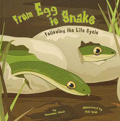 From egg to snake : following the life cycle