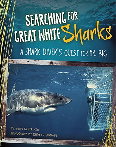 Searching for great white sharks : a shark diver's quest for Mr. Big