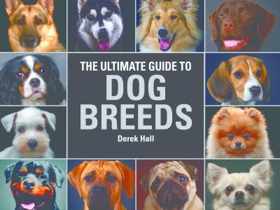 The ultimate guide to dog breeds