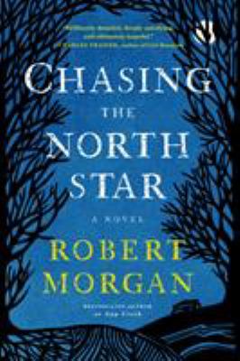 Chasing The North Star : a novel