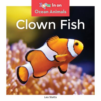 Clown fish